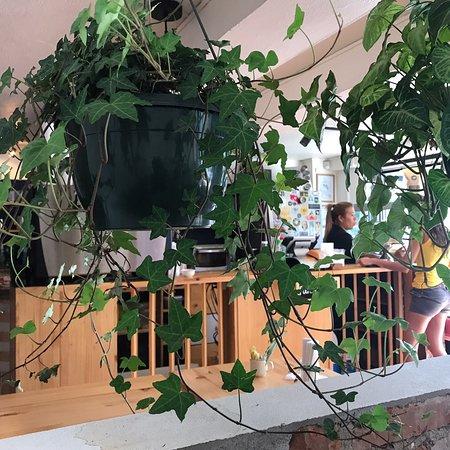 Café Miel Costa Rica